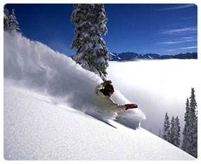 Freeride Experience